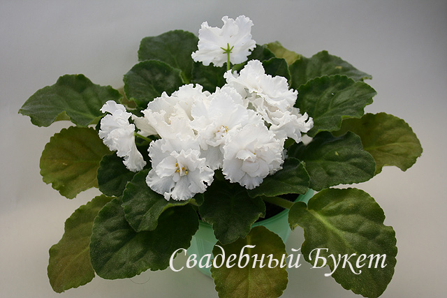 _Букет2.jpg