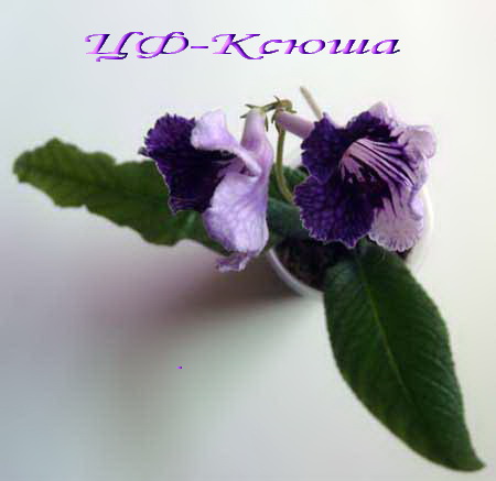-Ксюша-3.jpg