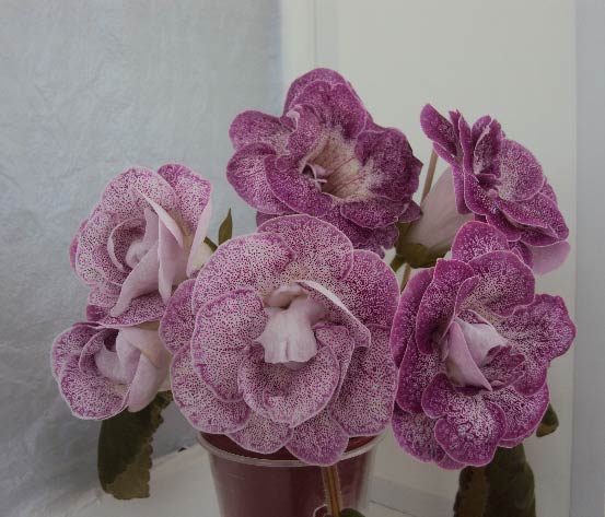 , букет, май 2013.JPG