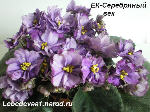 -Серебряный век 28.04.09 20-20 текст.JPG