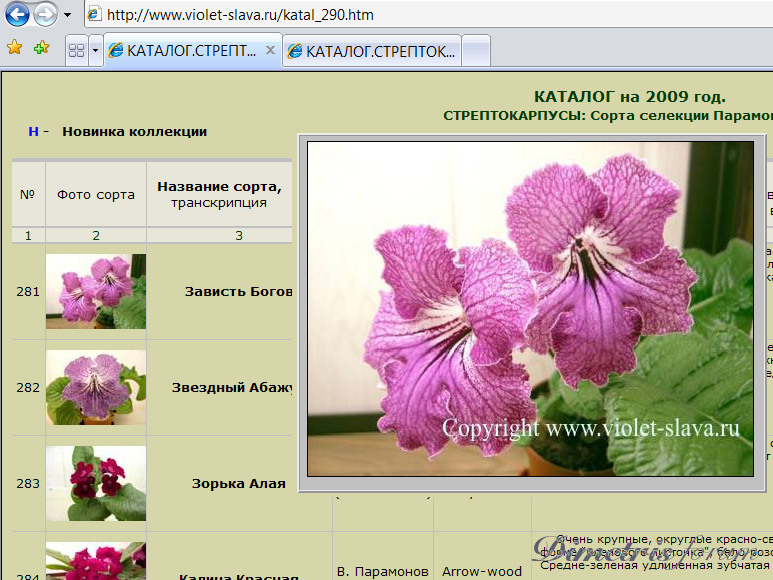 -богов-с-Парамоновского-сайта.jpg