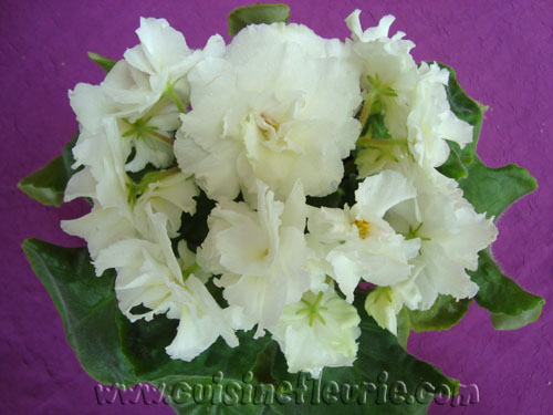 -Ангел Хранитель.jpg