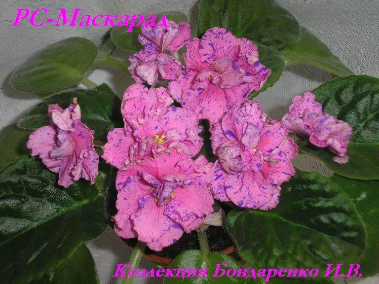 -Маскарад1.JPG