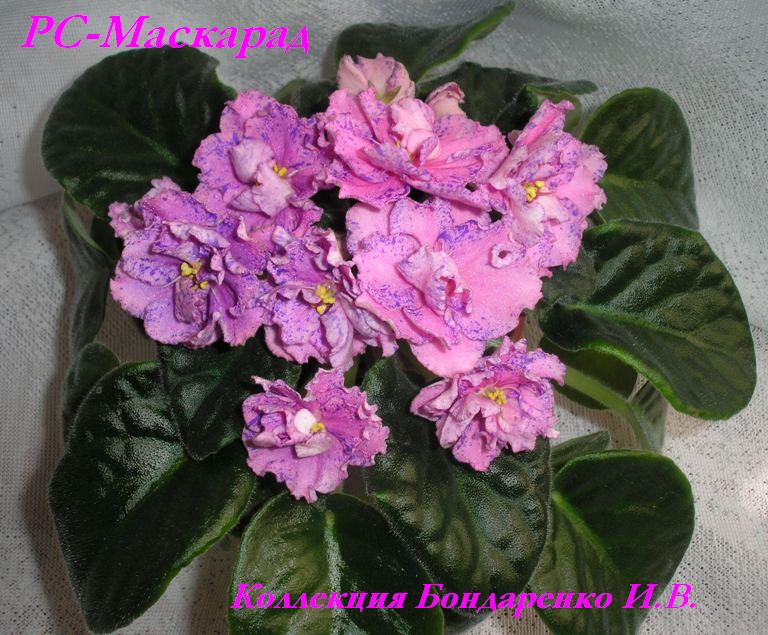 -Маскарад2.JPG