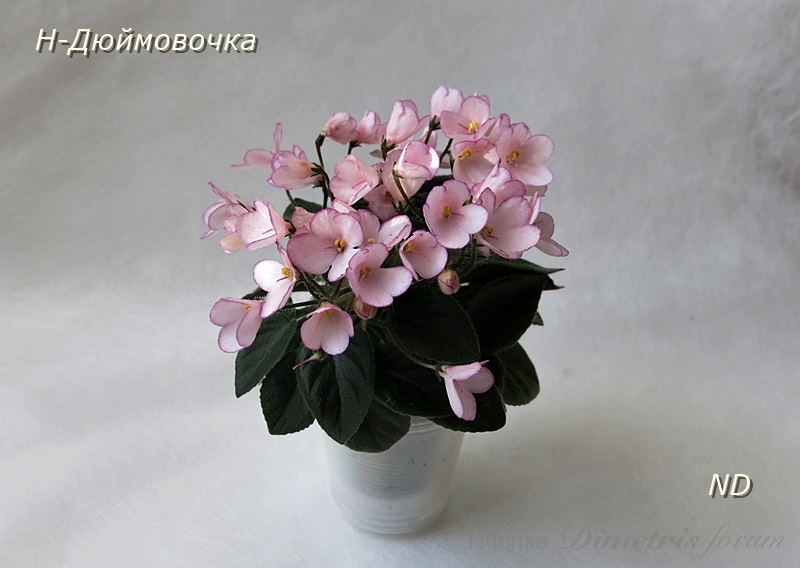 Н-Дюймовочка 3.JPG