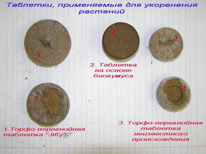 _подпис.jpg