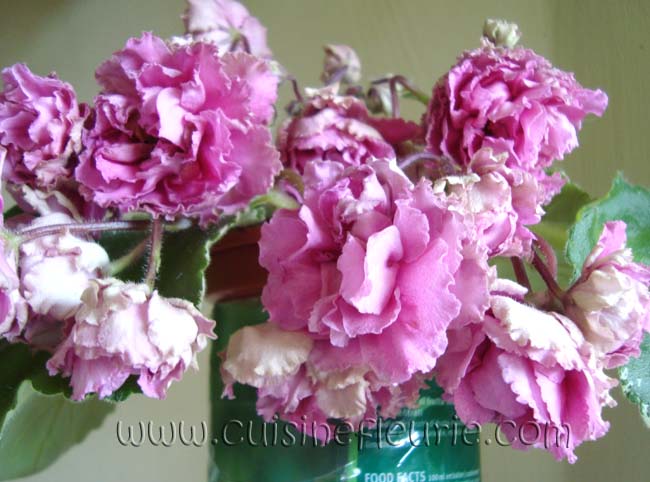 ЛЕ-Мадам    Помпадур .jpg