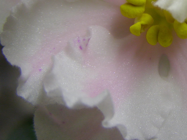 -Свадебный Наряд4.jpg