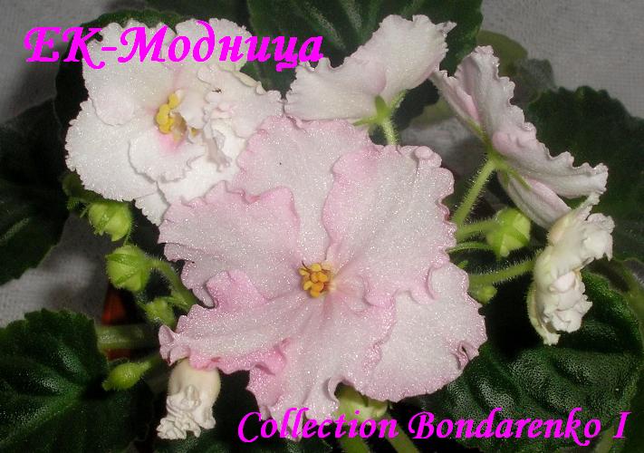 -Модница3.jpg