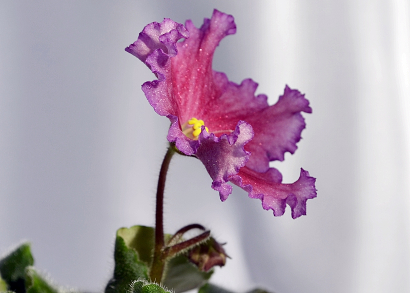 _DSC3024_800x571.jpg