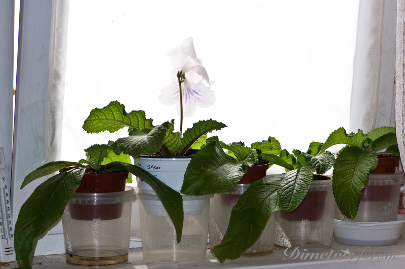 _DSC3030=.jpg