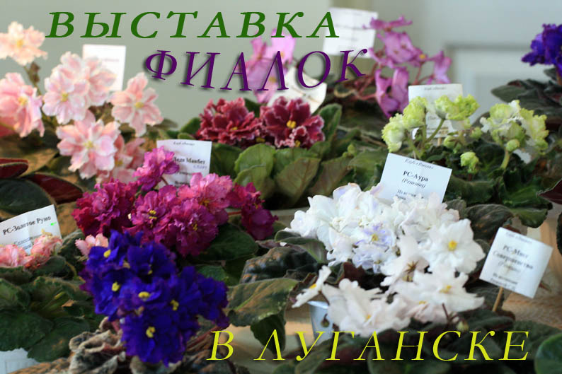  IMG_2360 копия.jpg