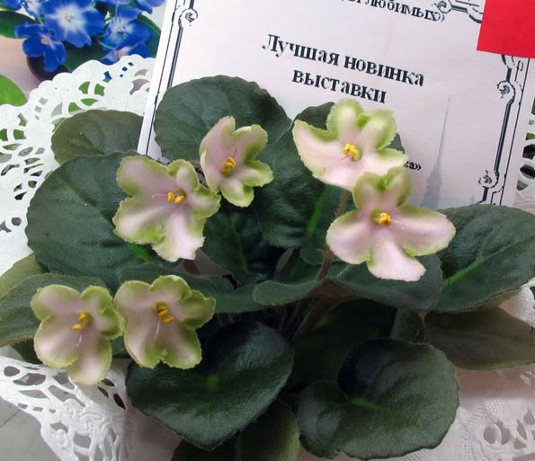 -Яблочный Спас ( Лучшая Новинка).jpg