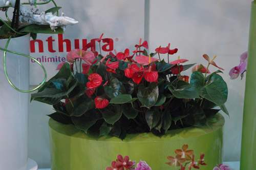 -АПРЕЛЬ 2009 076.jpg