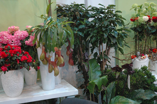 -АПРЕЛЬ 2009 102.jpg