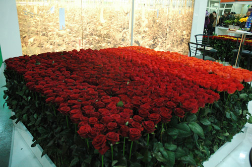 -АПРЕЛЬ 2009 116.jpg