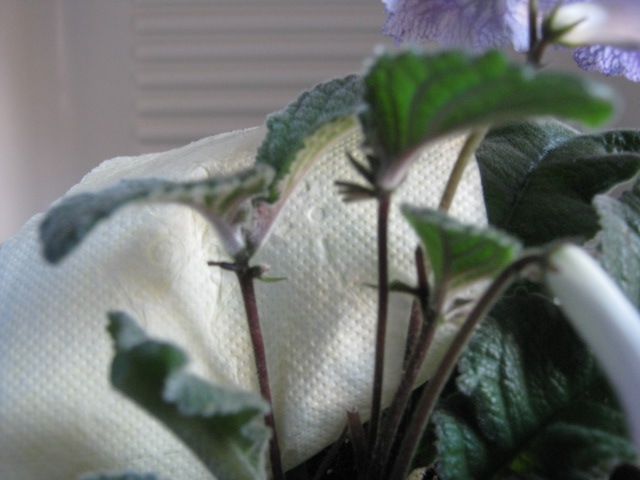 .У.детки ближе.jpg