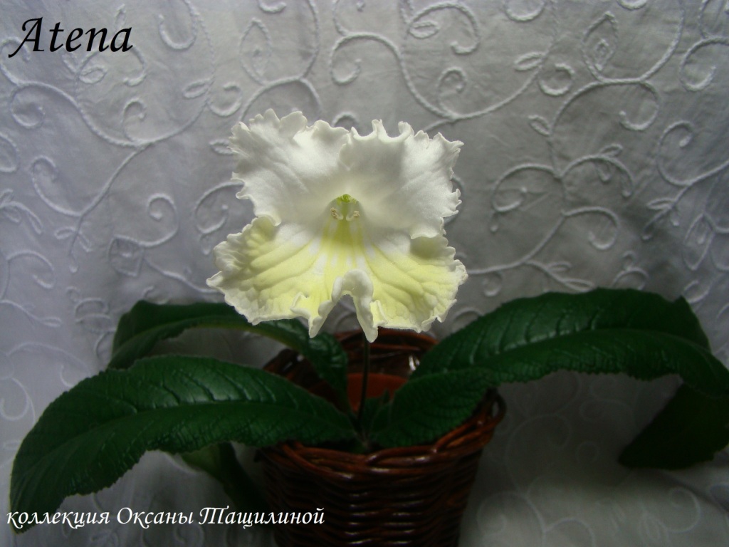 Atena - копия.JPG