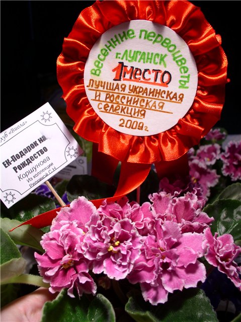 bdeb29d030b8.jpg