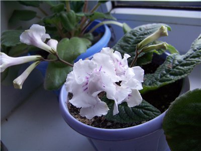 c3215e27e135.jpg