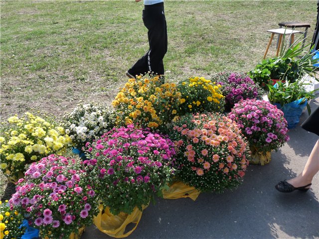 d922c49380e5.jpg