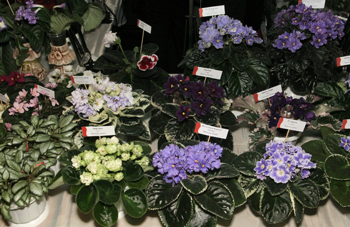 Dnepr0312-19.jpg