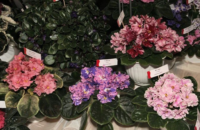 Dnepr0312-23.jpg