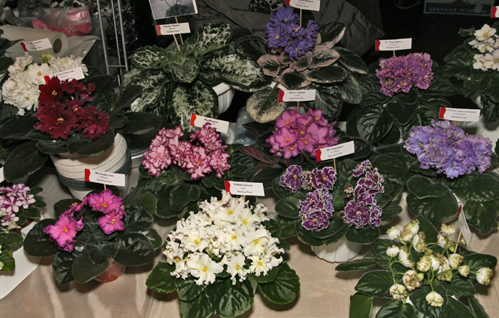 Dnepr0312-25.jpg