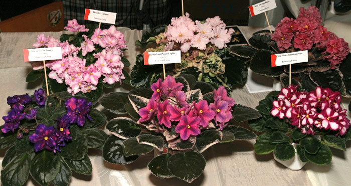 Dnepr0312-32.jpg