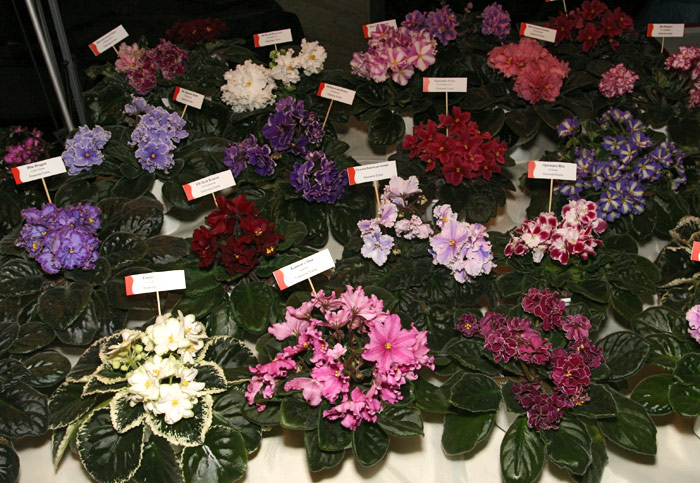 Dnepr0312-34.jpg