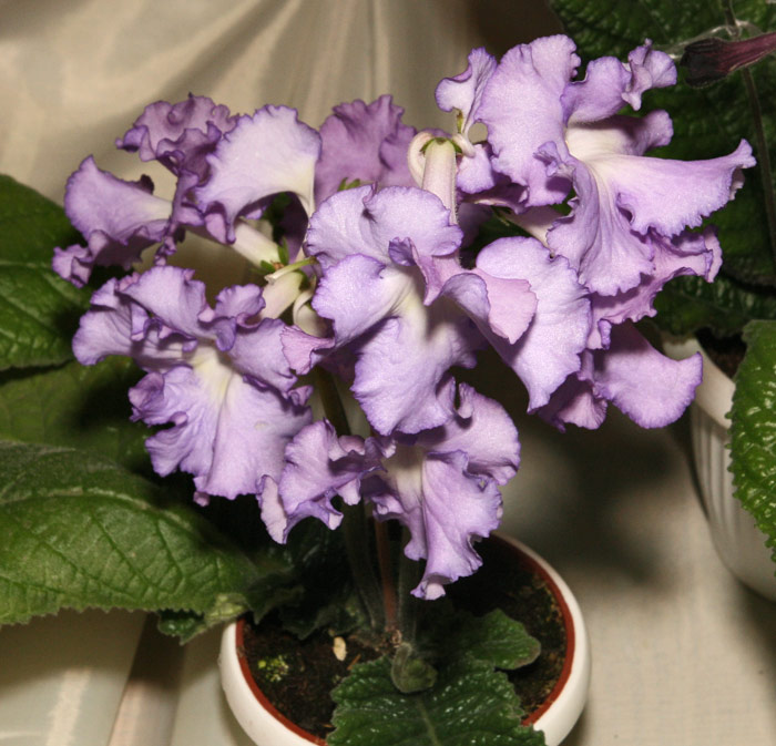 Dnepr0312-43.jpg