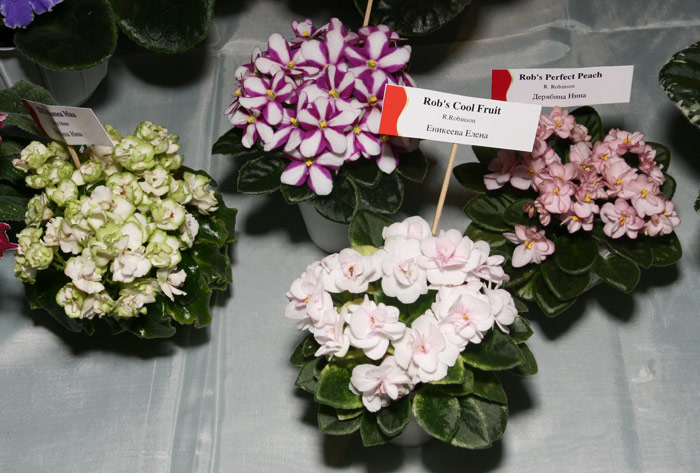 Dnepr0312-55.jpg
