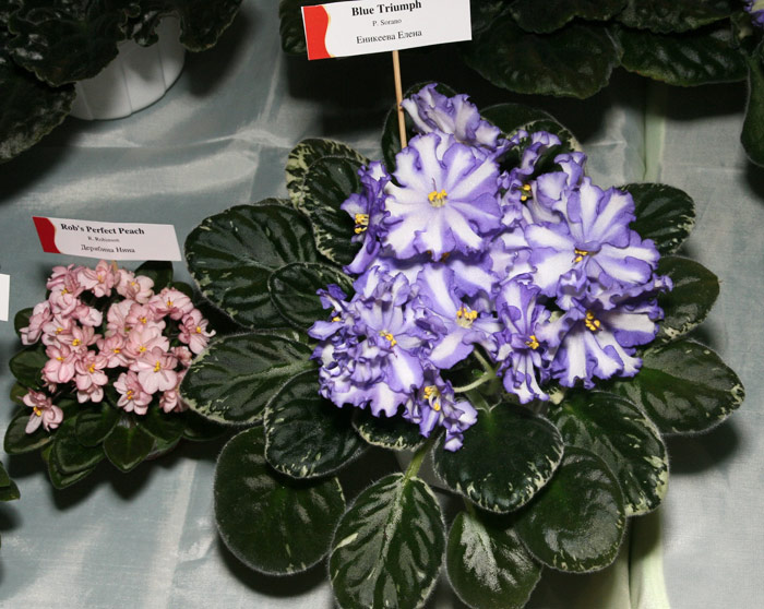 Dnepr0312-59.jpg
