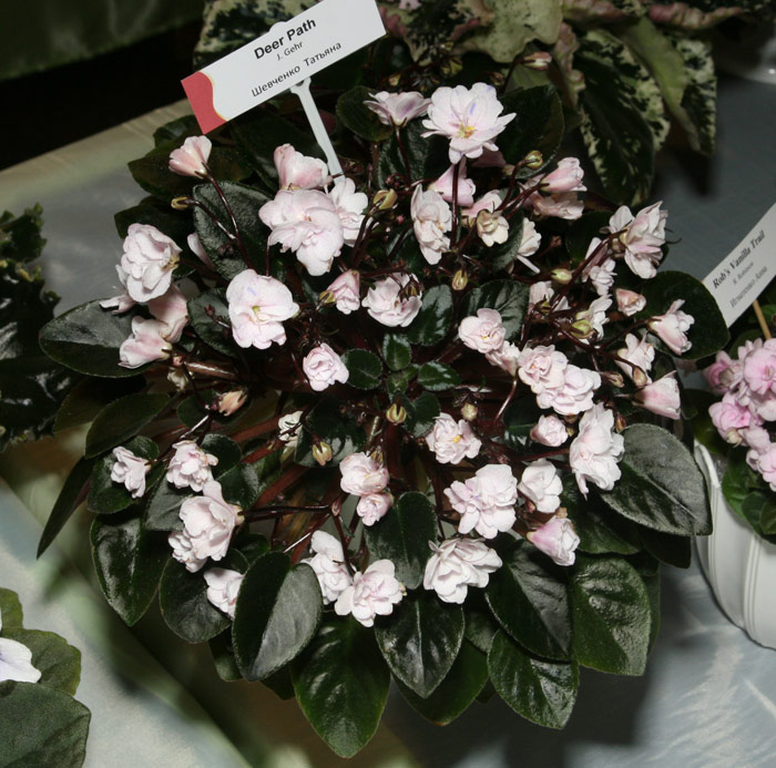 Dnepr0312-68.jpg
