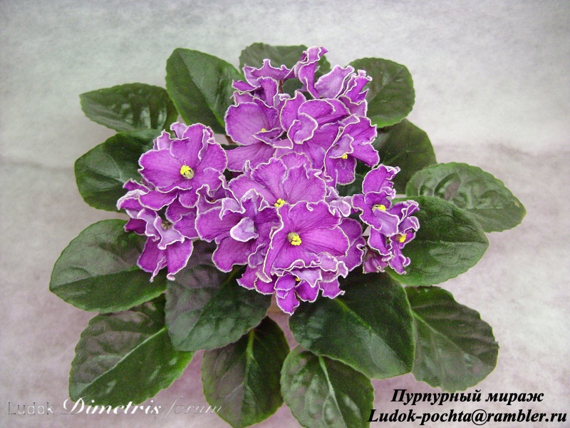 DSC00031.JPG