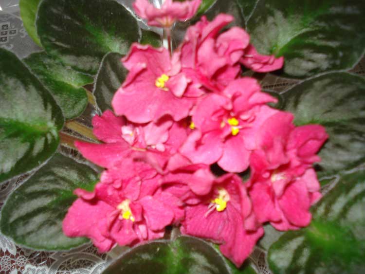 DSC01405.jpg