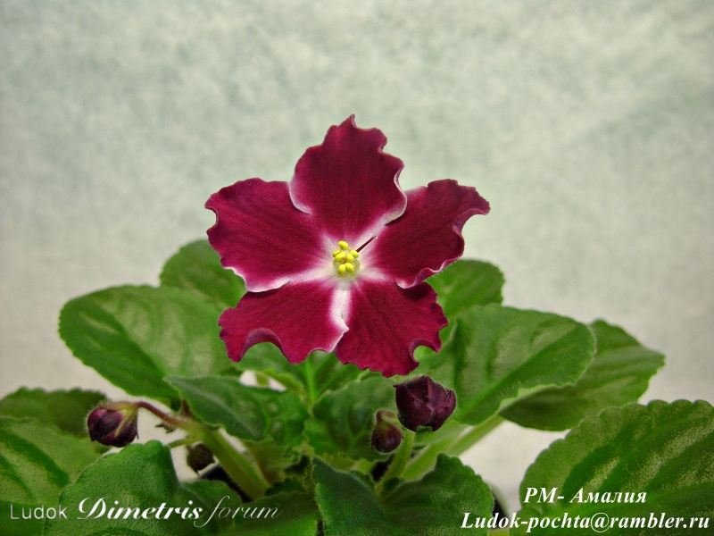 DSC01440.JPG