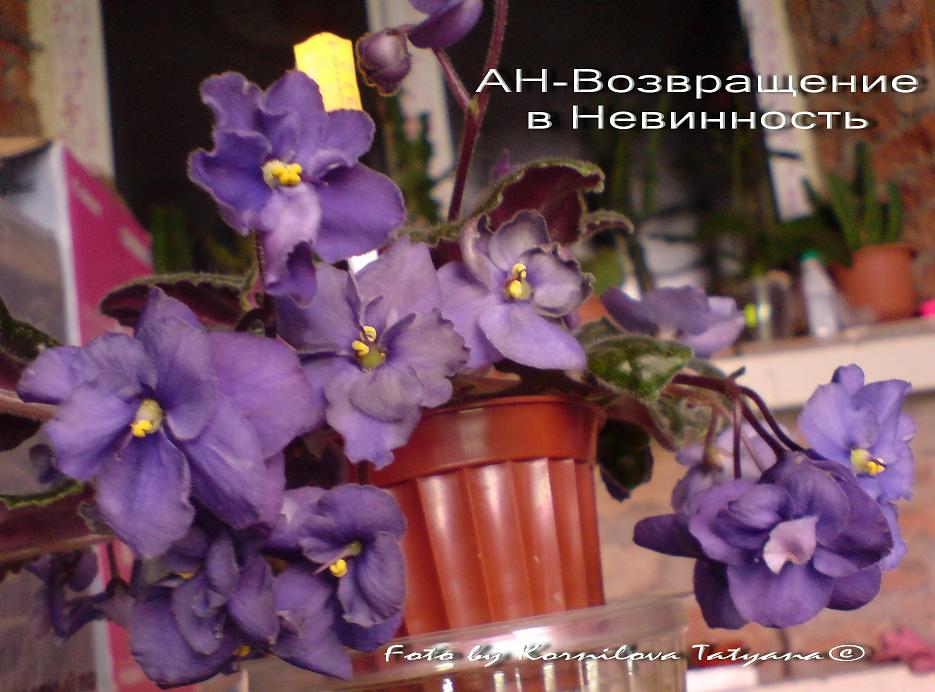 DSC03053.jpg
