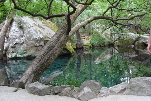 DSC03877.JPG