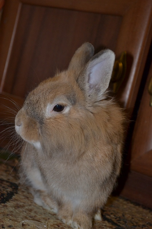 DSC_0022.JPG