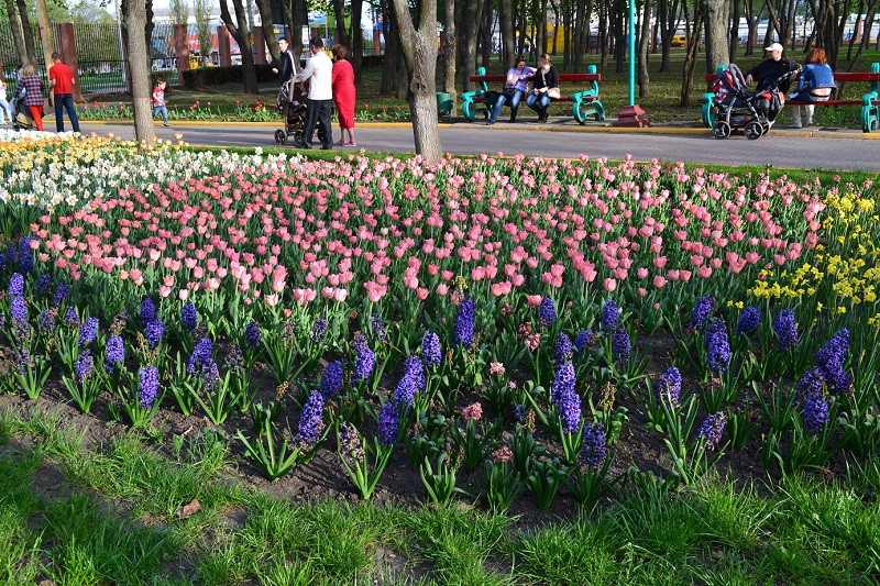 DSC_0612.JPG