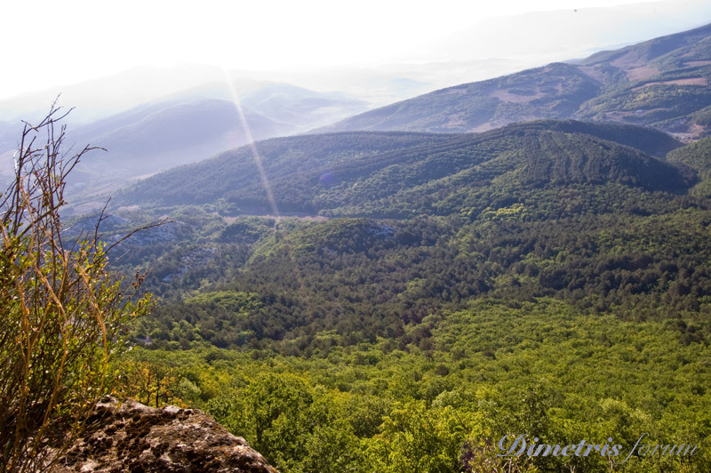 DSC_3182.jpg