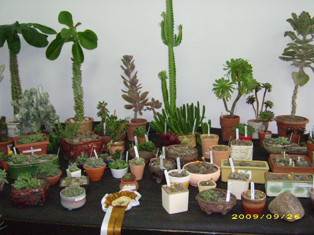 DSCI0663.JPG