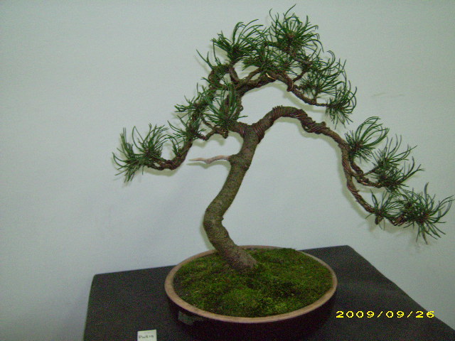 DSCI0672.JPG