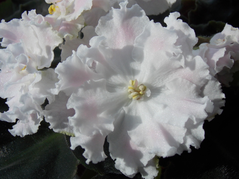 DSCN0432.jpg