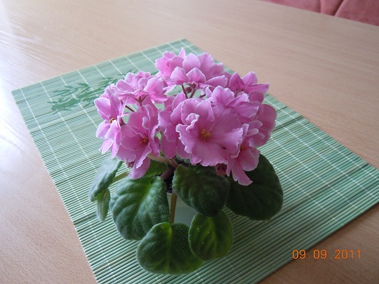 DSCN1566.JPG