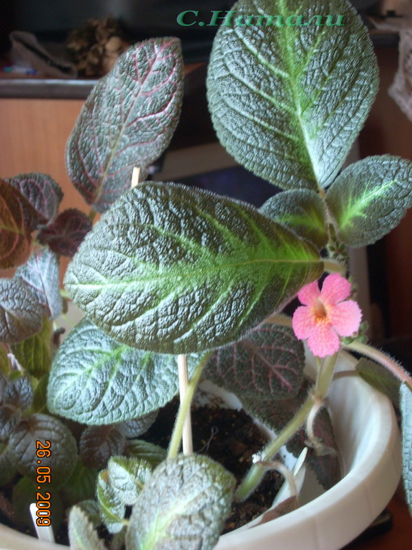 DSCN1844.jpg