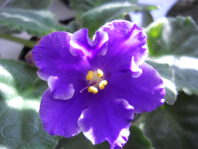 DSCN1955.JPG