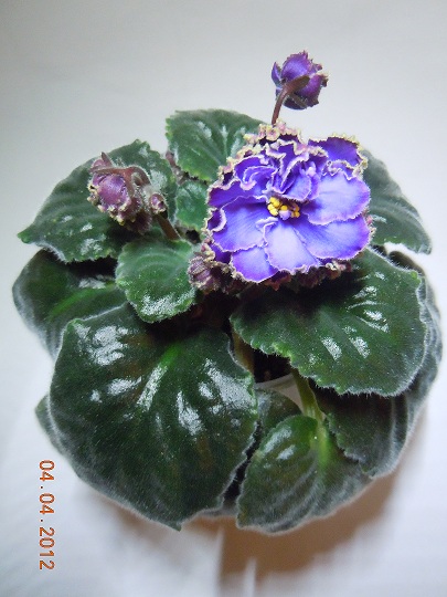 DSCN2952.JPG