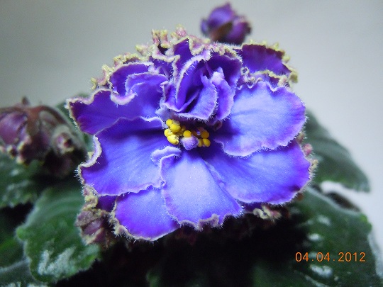 DSCN2953.JPG
